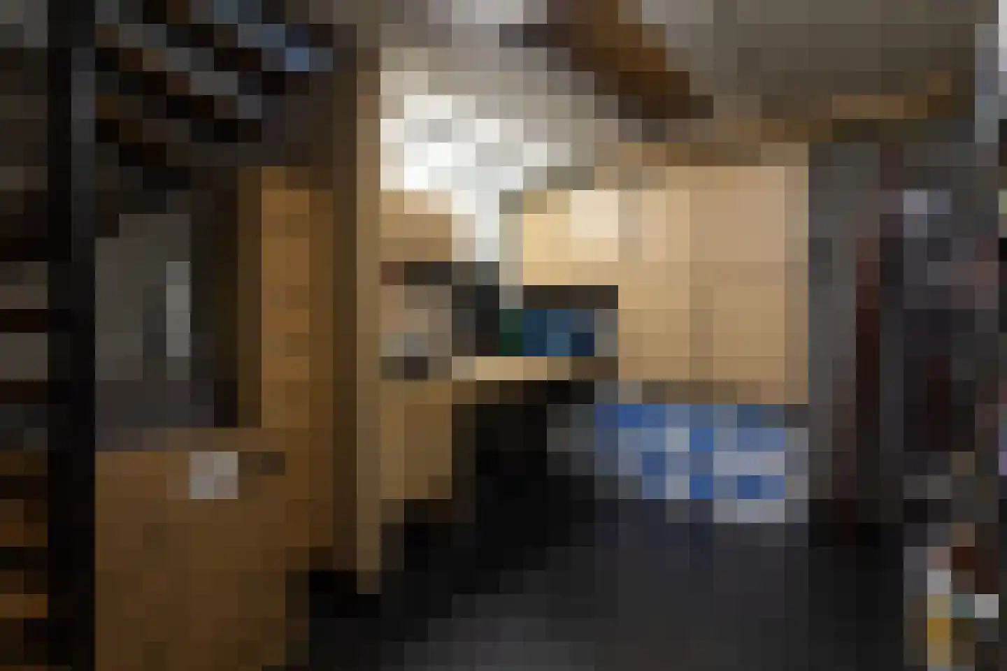 Hanrathsingel 20 Laren thumbnail 37