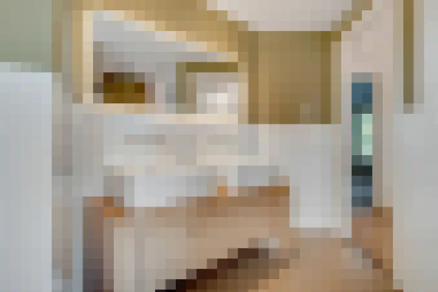 Hanrathsingel 20 Laren thumbnail 37