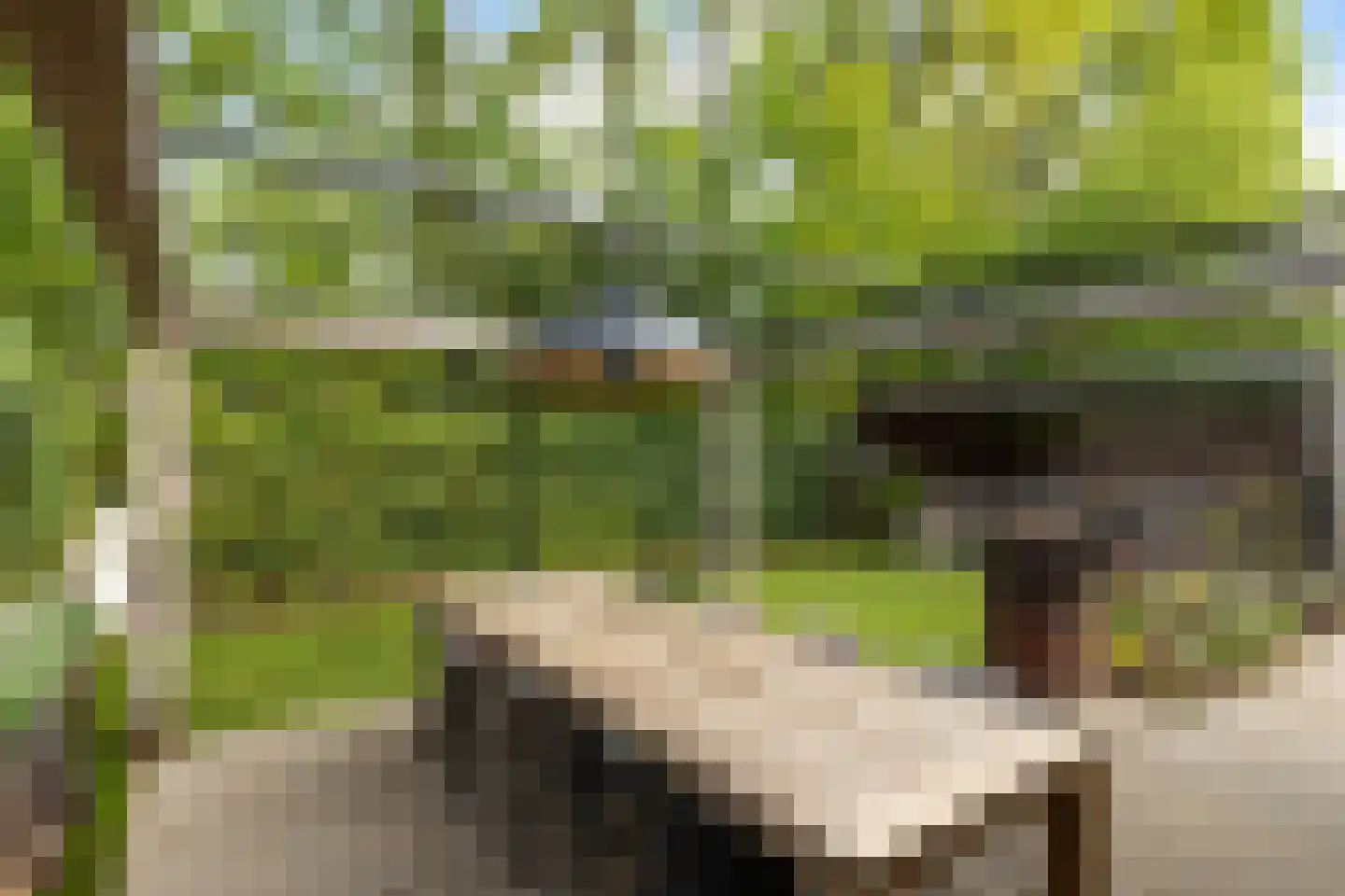 Hanrathsingel 20 Laren thumbnail 38