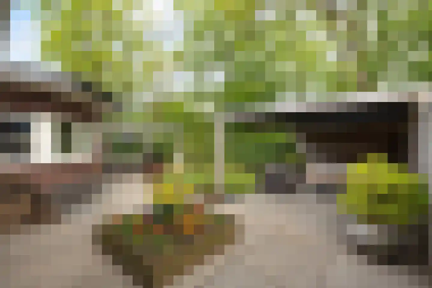 Hanrathsingel 20 Laren thumbnail 39
