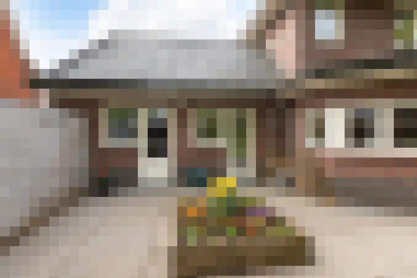 Hanrathsingel 20 Laren thumbnail 41