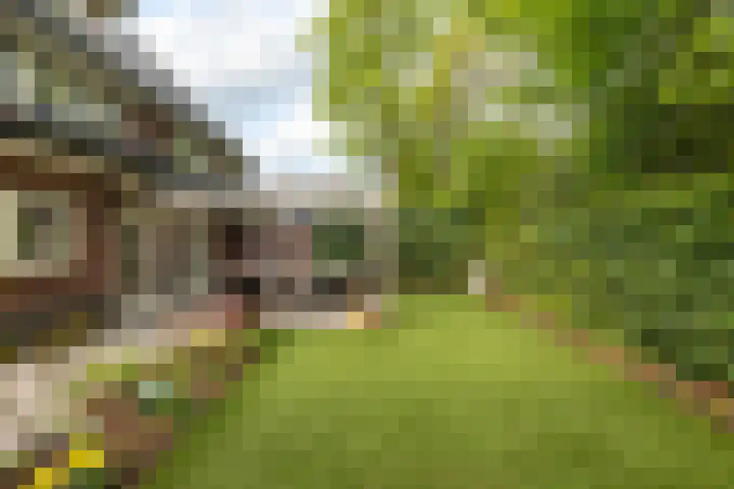 Hanrathsingel 20 Laren thumbnail 42