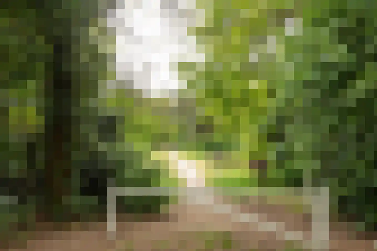 Hanrathsingel 20 Laren thumbnail 43