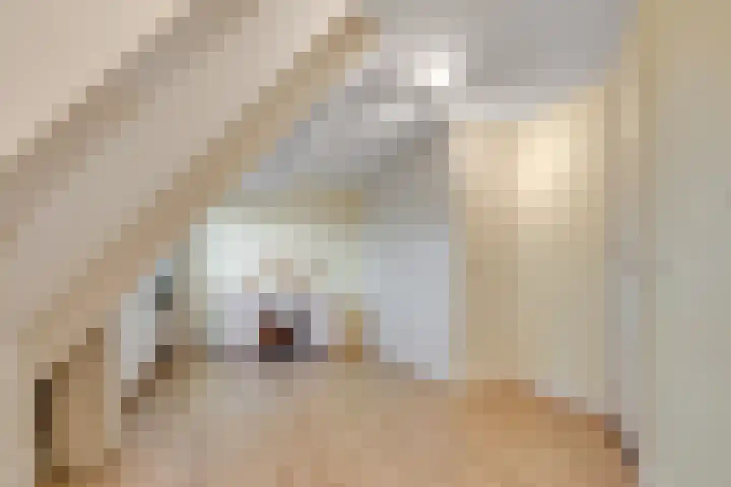 Hanrathsingel 20 Laren thumbnail 43