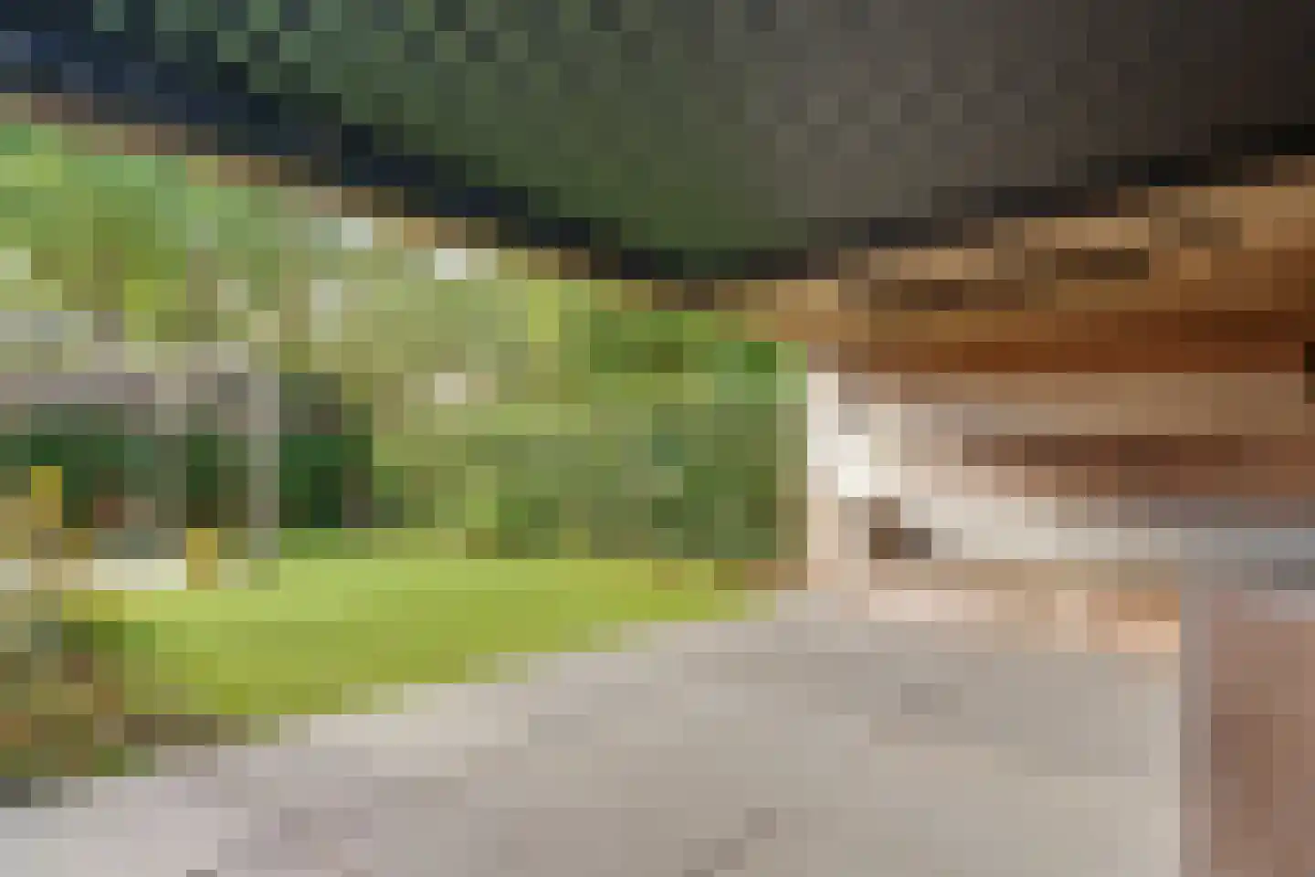 Hanrathsingel 20 Laren thumbnail 61