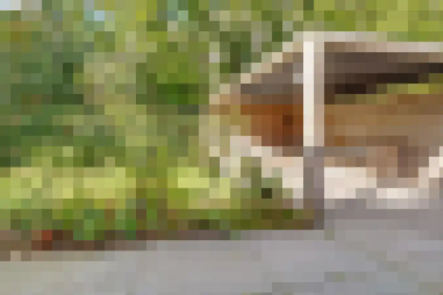 Hanrathsingel 20 Laren thumbnail 64