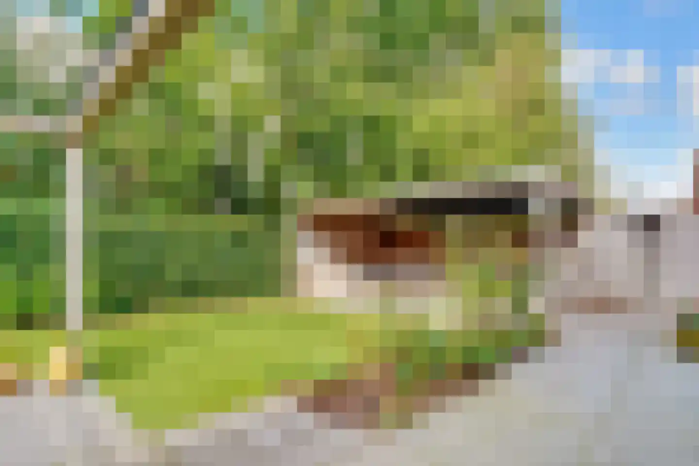 Hanrathsingel 20 Laren thumbnail 65