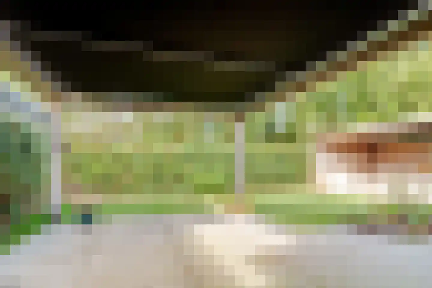 Hanrathsingel 20 Laren thumbnail 66