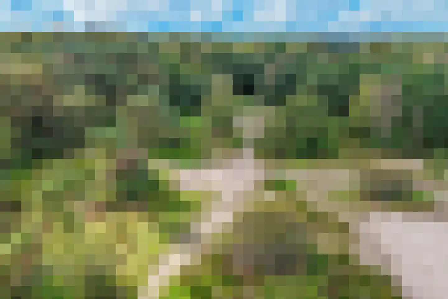 Hanrathsingel 20 Laren thumbnail 69