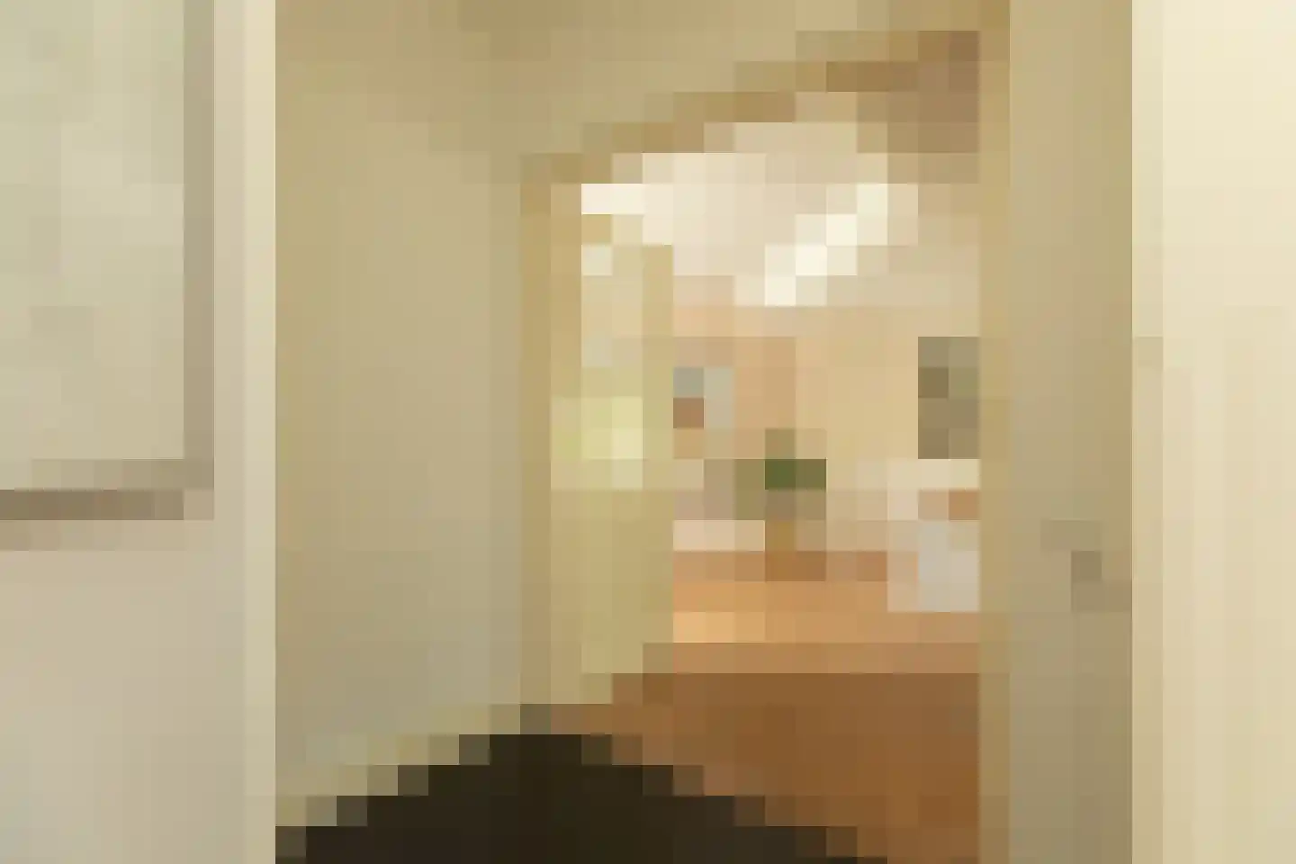 Hanrathsingel 20 Laren thumbnail 7