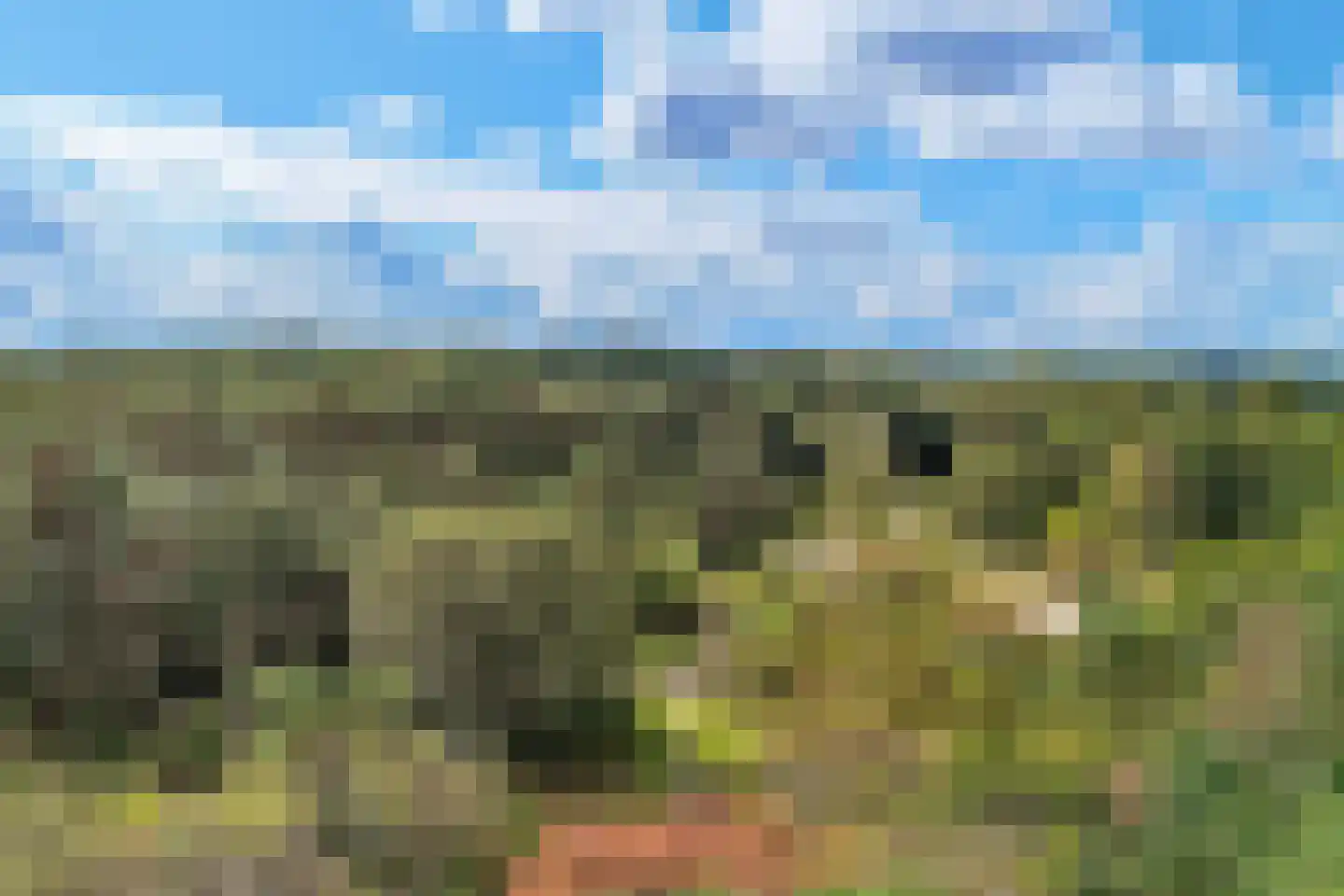 Hanrathsingel 20 Laren thumbnail 70