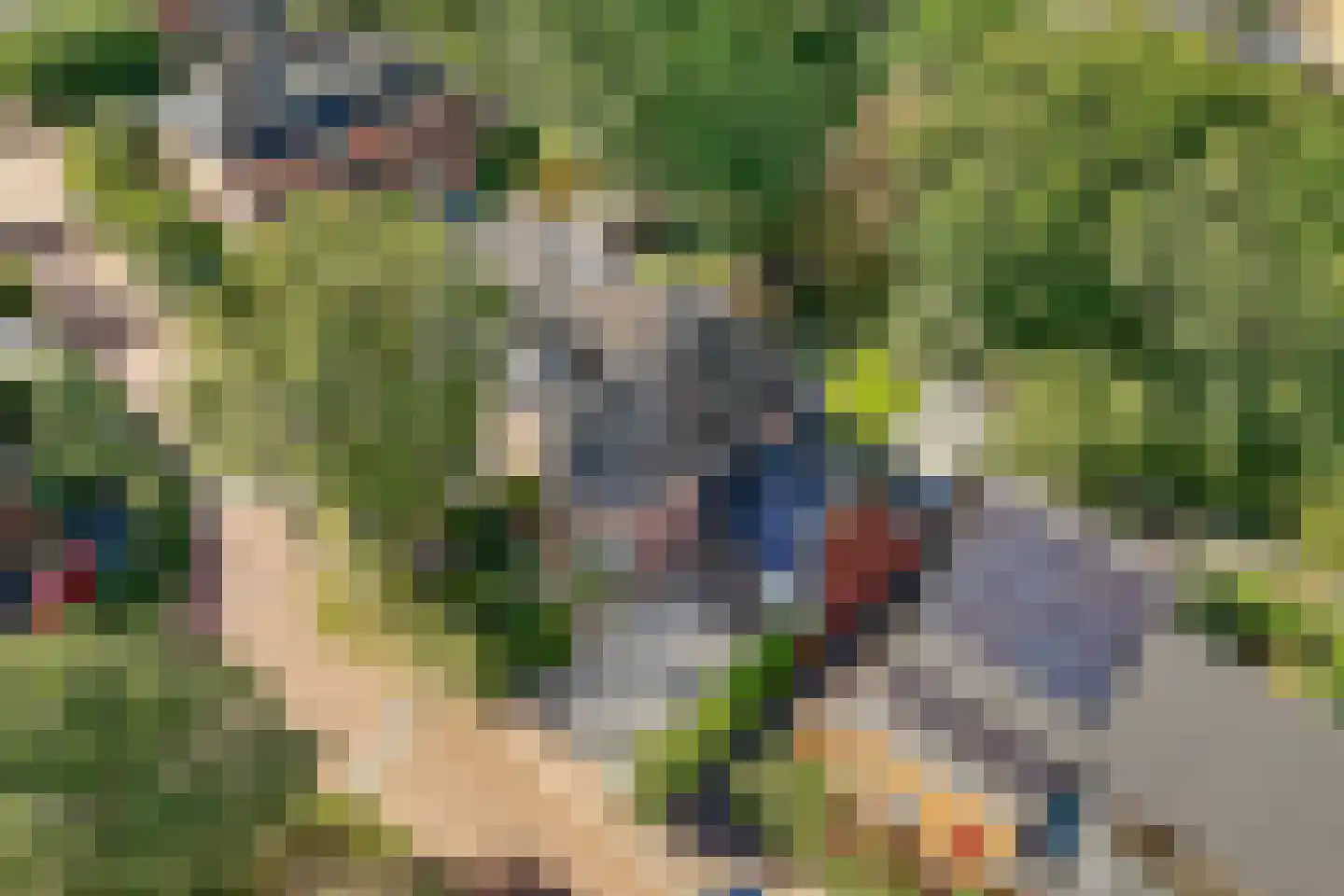 Hanrathsingel 20 Laren thumbnail 72