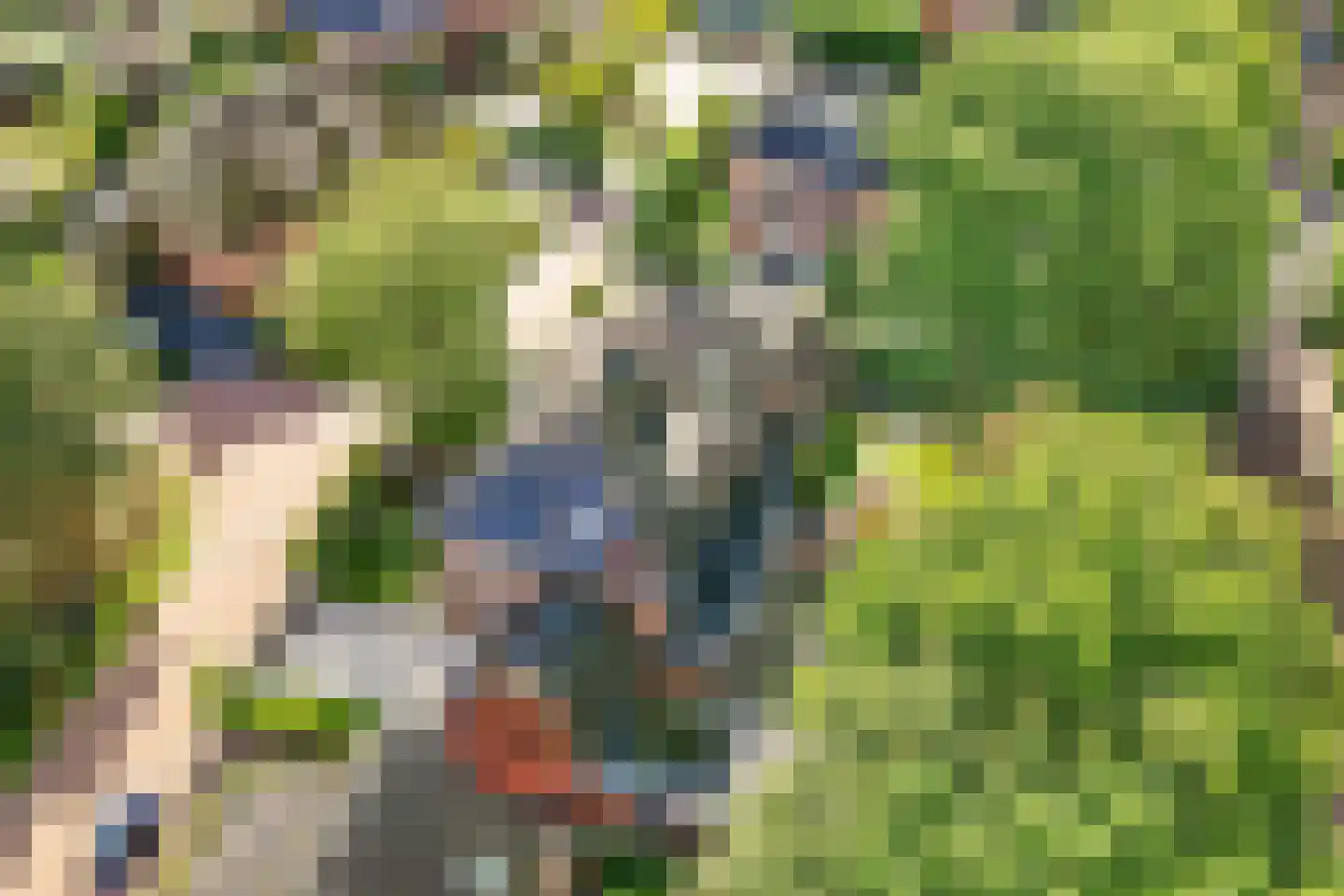 Hanrathsingel 20 Laren thumbnail 73