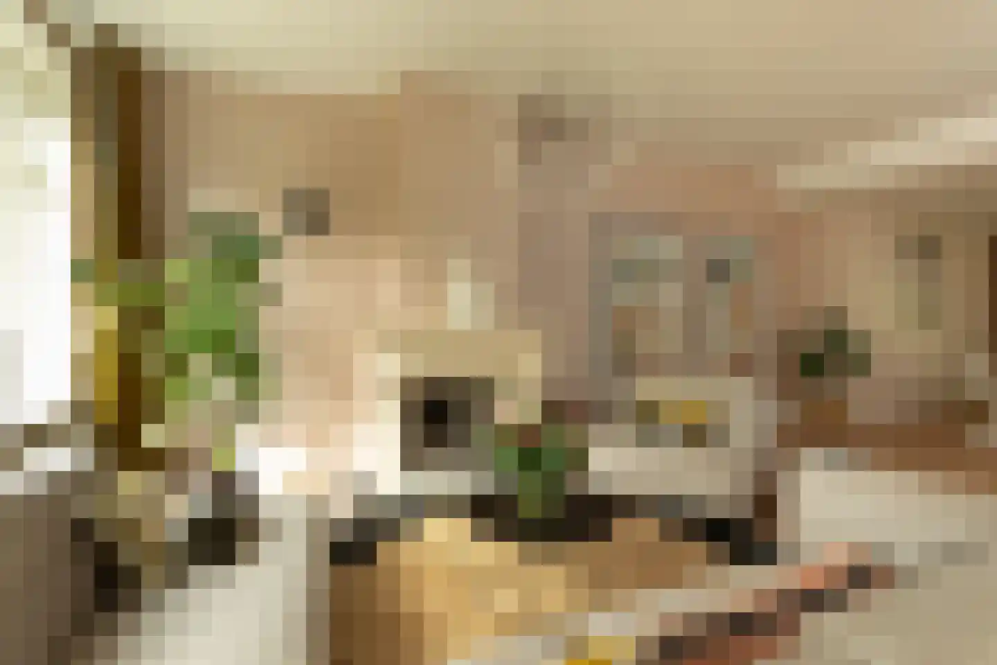 Hanrathsingel 20 Laren thumbnail 9