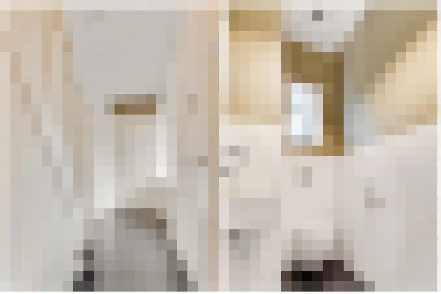 Hanrathsingel 20 Laren thumbnail 9