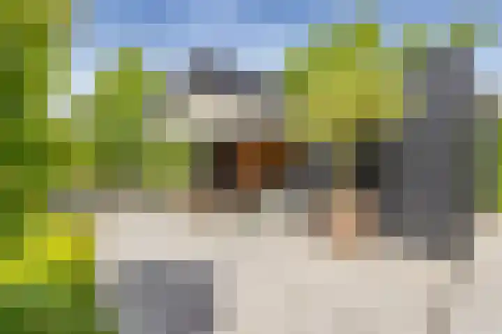 Hanrathsingel 23 Laren thumbnail 10