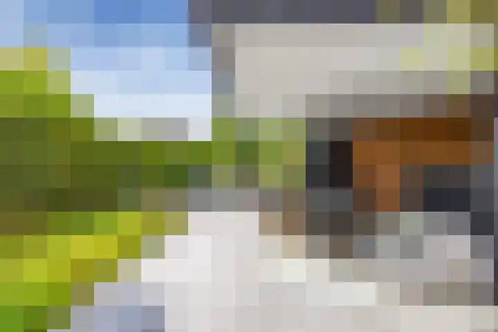 Hanrathsingel 23 Laren thumbnail 11