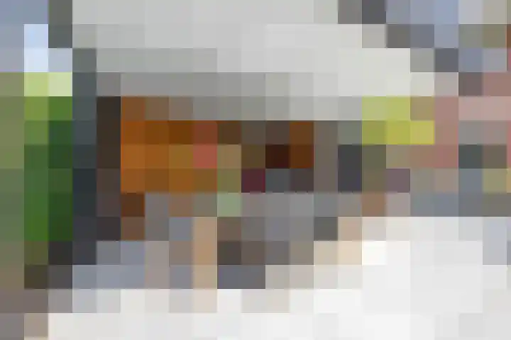 Hanrathsingel 23 Laren thumbnail 12