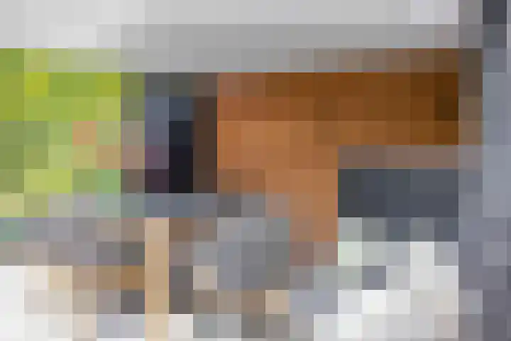 Hanrathsingel 23 Laren thumbnail 14