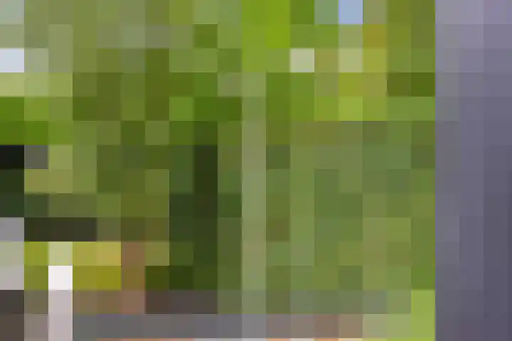Hanrathsingel 23 Laren thumbnail 15