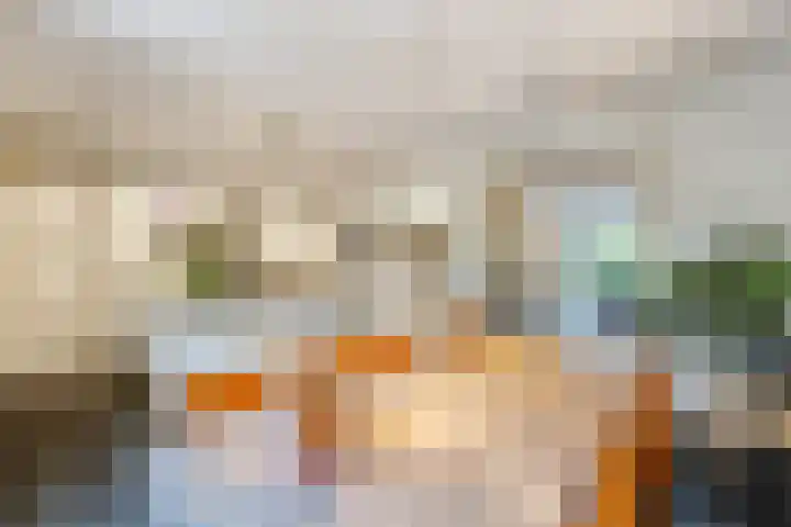 Hanrathsingel 23 Laren thumbnail 18