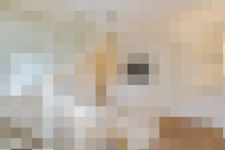 Hanrathsingel 23 Laren thumbnail 31