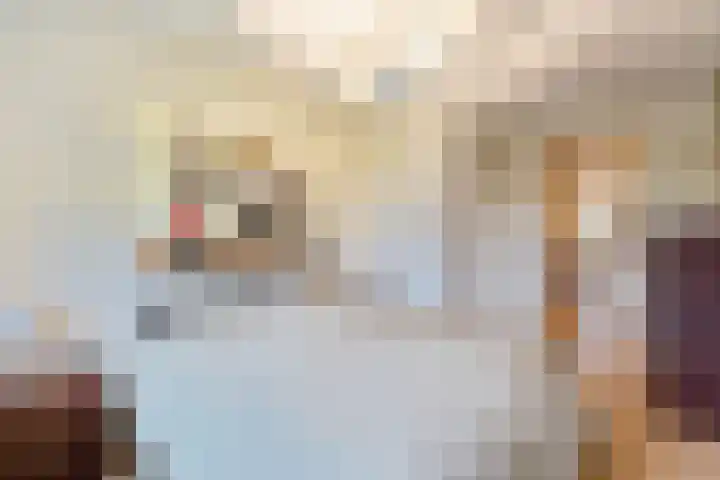 Hanrathsingel 23 Laren thumbnail 37