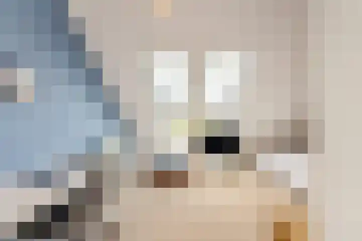 Hanrathsingel 23 Laren thumbnail 42