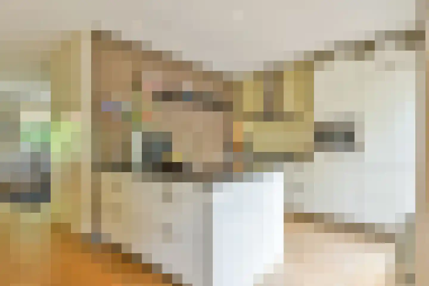 Hanrathsingel 4 Laren thumbnail 12