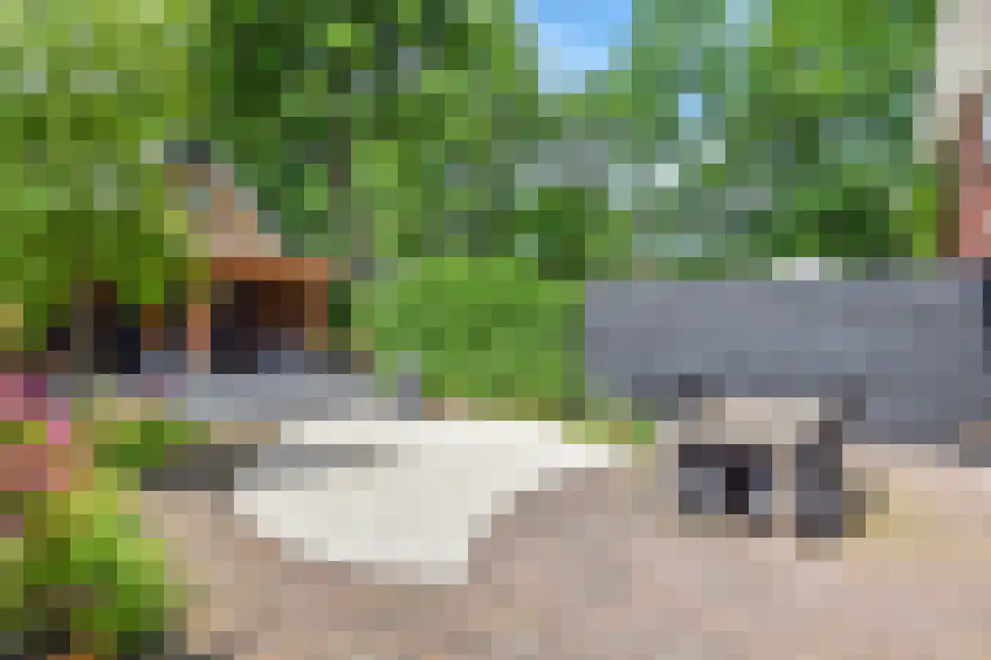 Hanrathsingel 4 Laren thumbnail 17