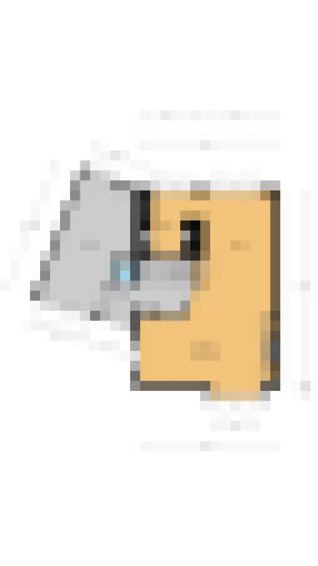 Hanrathsingel 4 Laren thumbnail 35
