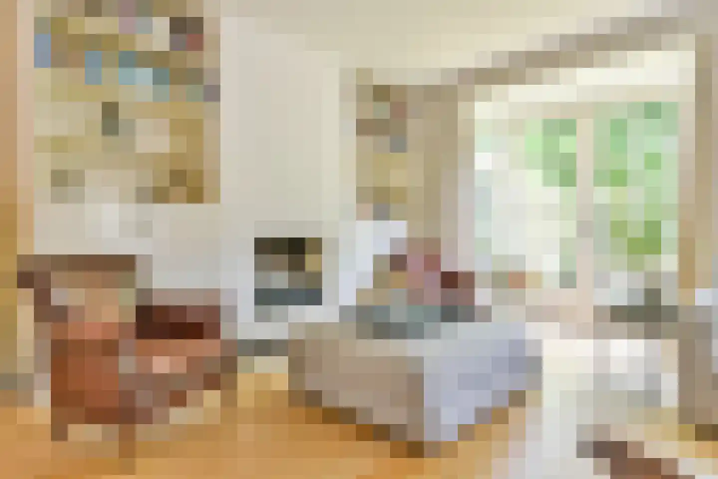 Hanrathsingel 4 Laren thumbnail 7