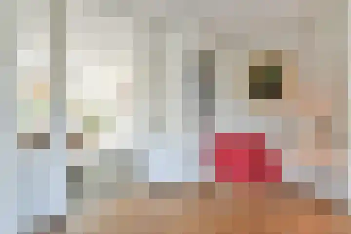 Hanrathsingel 9 Laren thumbnail 5