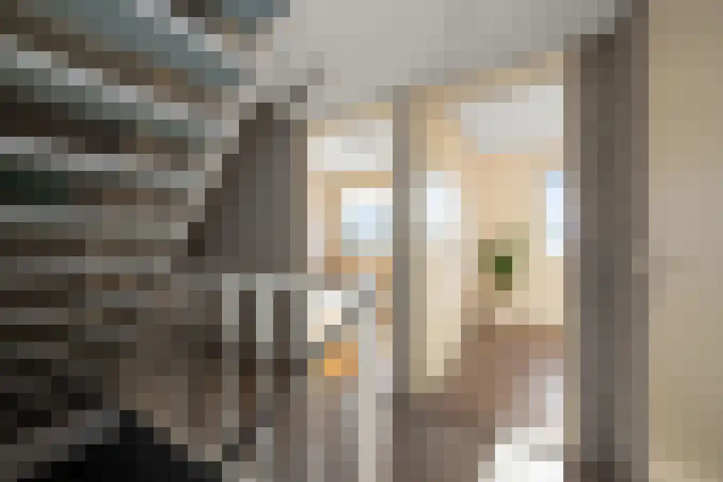 Hans de Riesstraat 20 Alkmaar thumbnail 12
