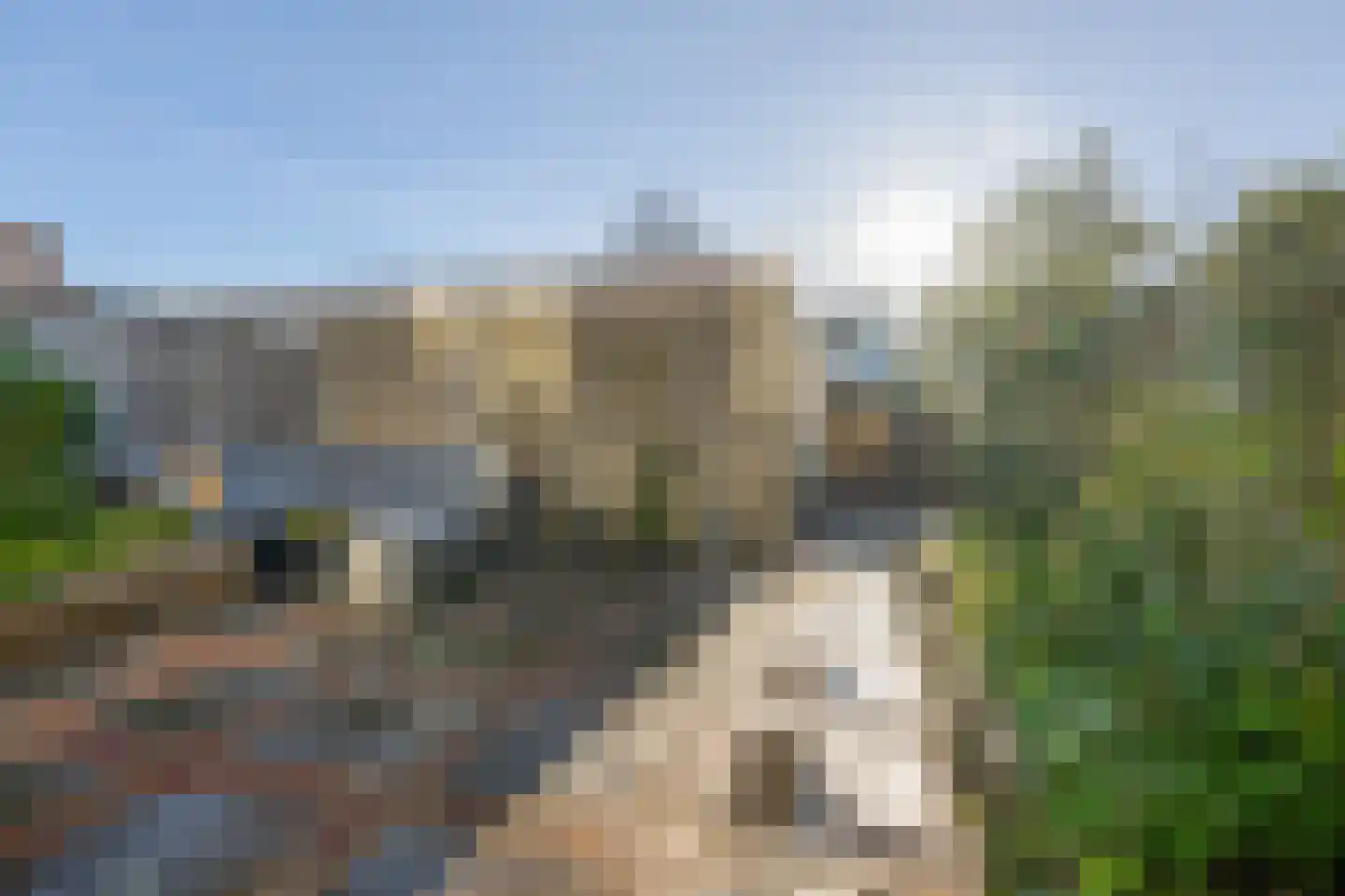 Hans de Riesstraat 20 Alkmaar thumbnail 33