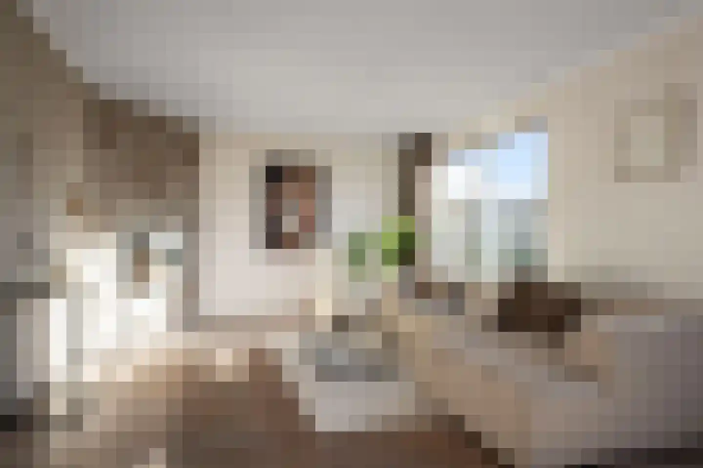 Hans de Riesstraat 20 Alkmaar thumbnail 5