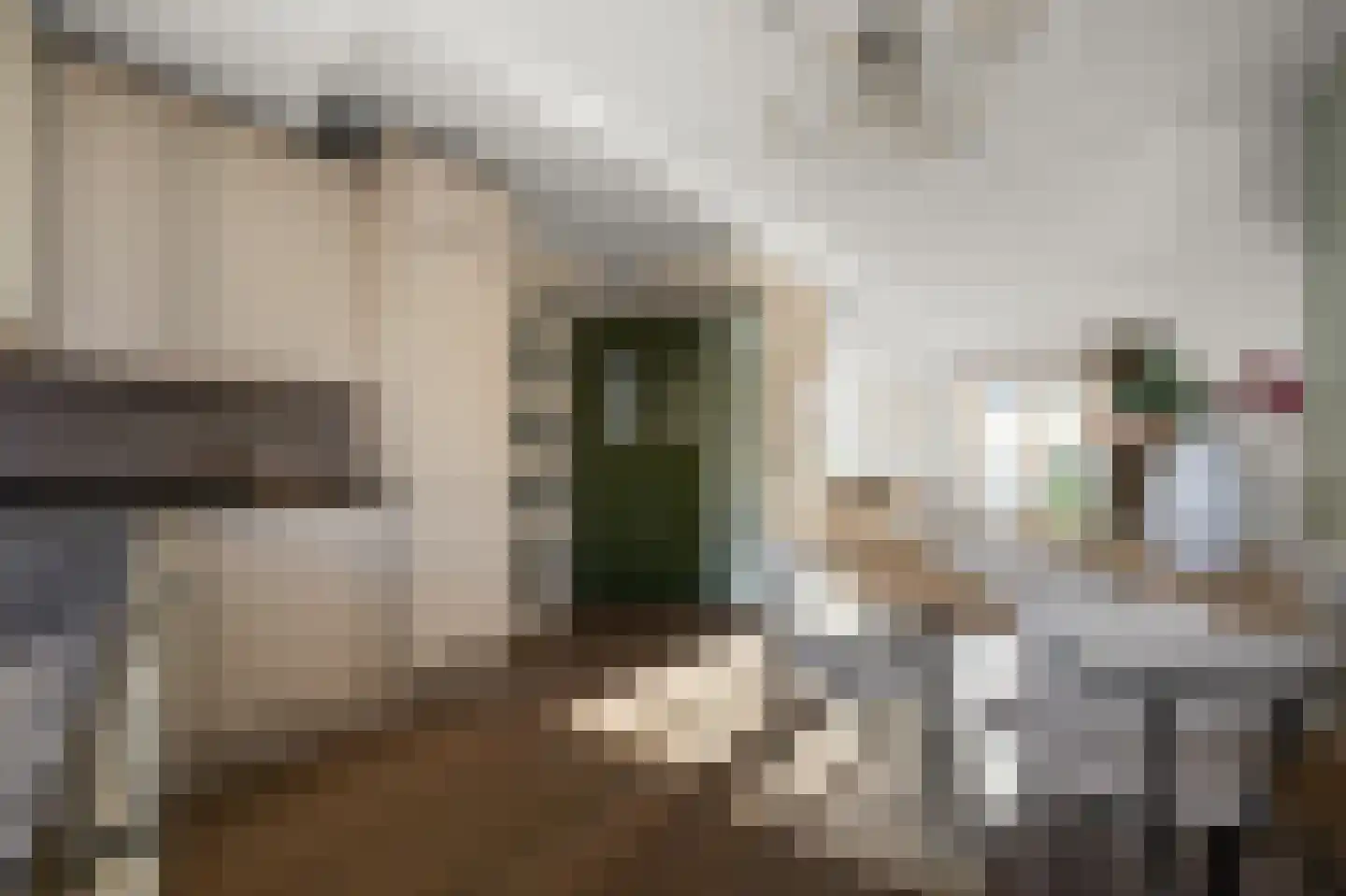 Hans de Riesstraat 20 Alkmaar thumbnail 9