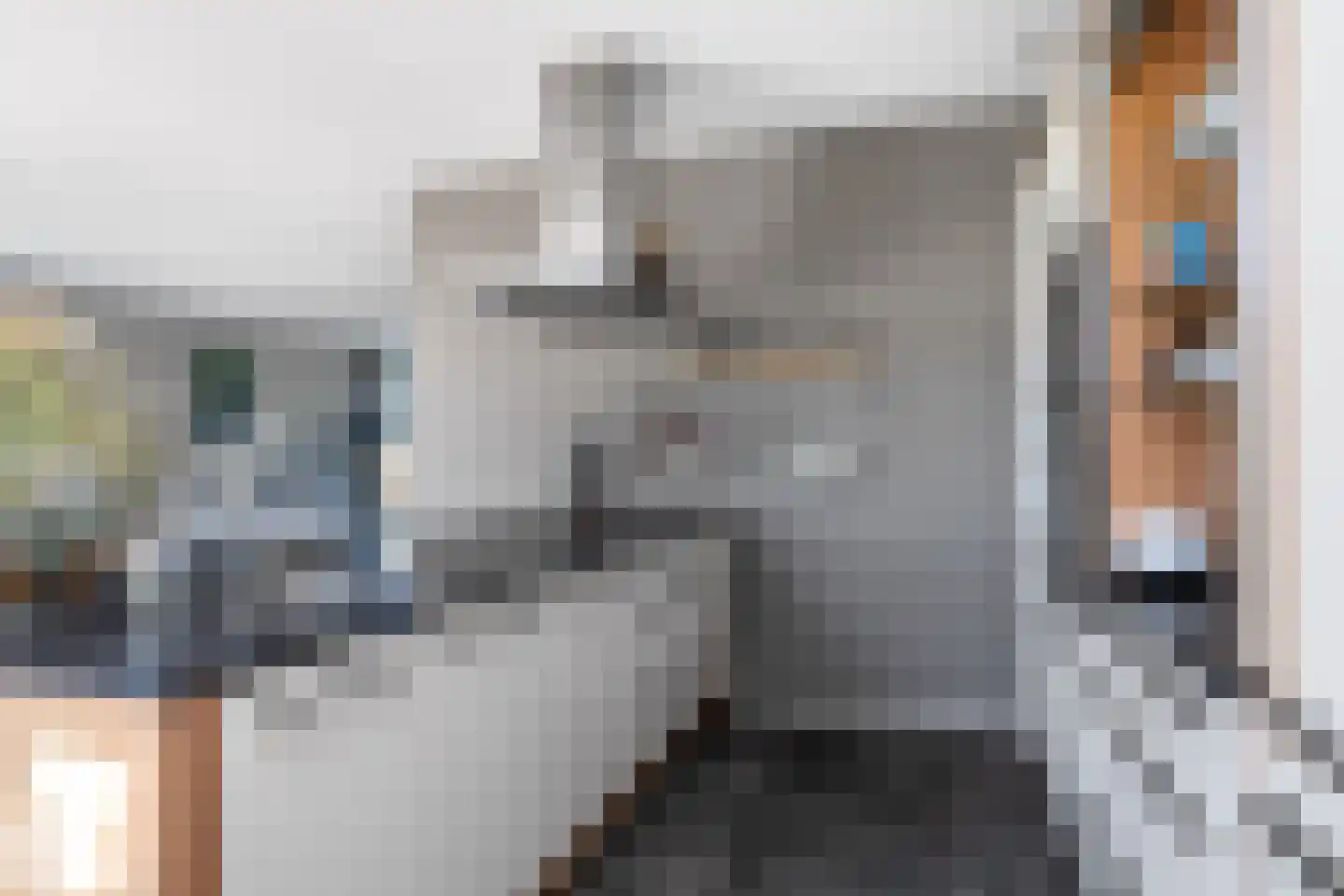 Hans Deinumstrjitte 14 Workum thumbnail 12