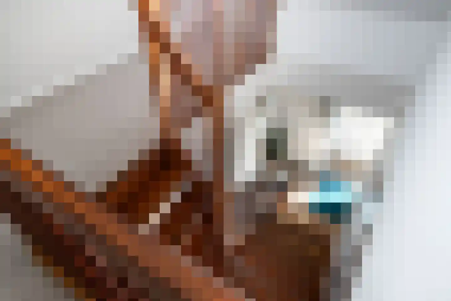 Hans Deinumstrjitte 14 Workum thumbnail 24