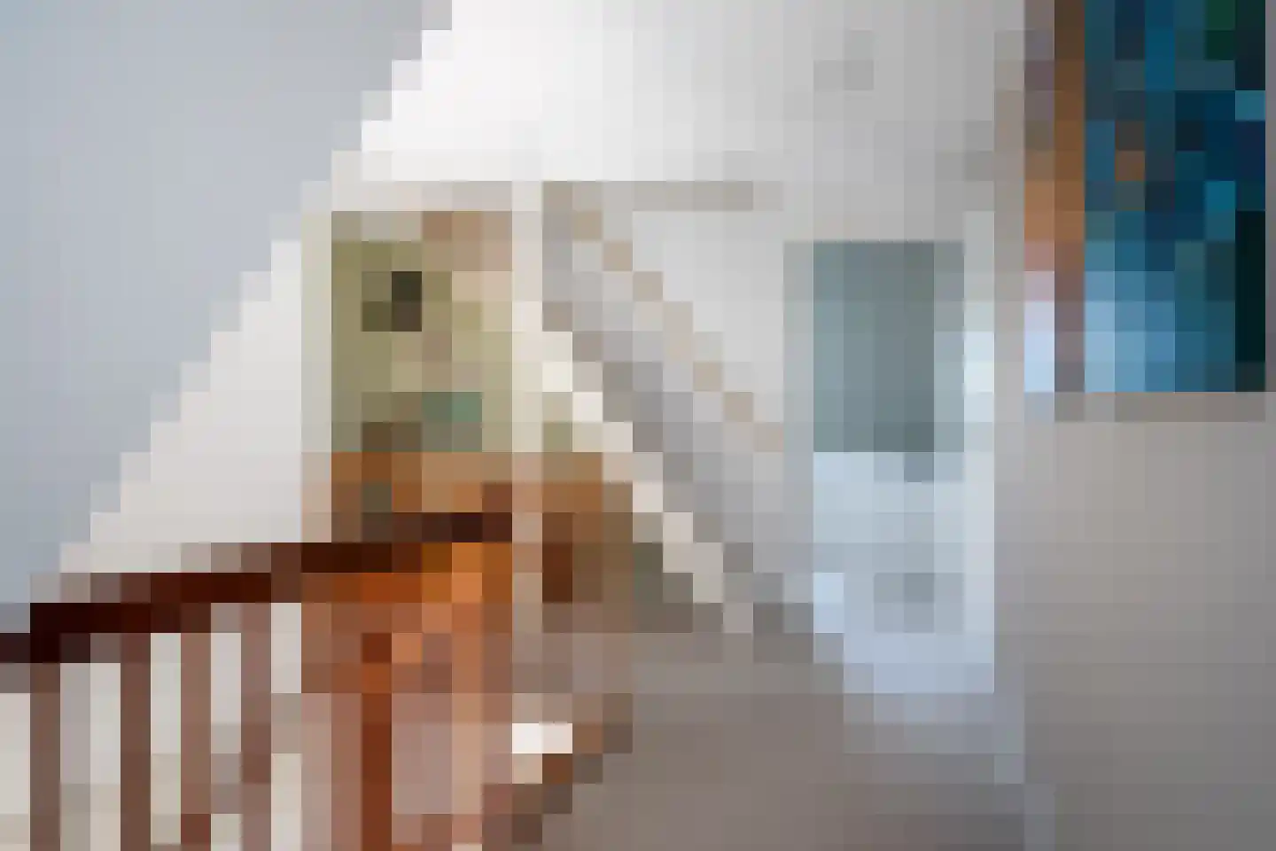 Hans Deinumstrjitte 14 Workum thumbnail 26