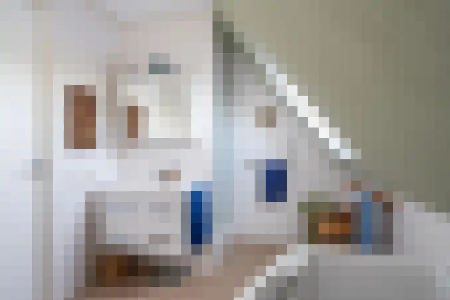 Hans Deinumstrjitte 14 Workum thumbnail 39