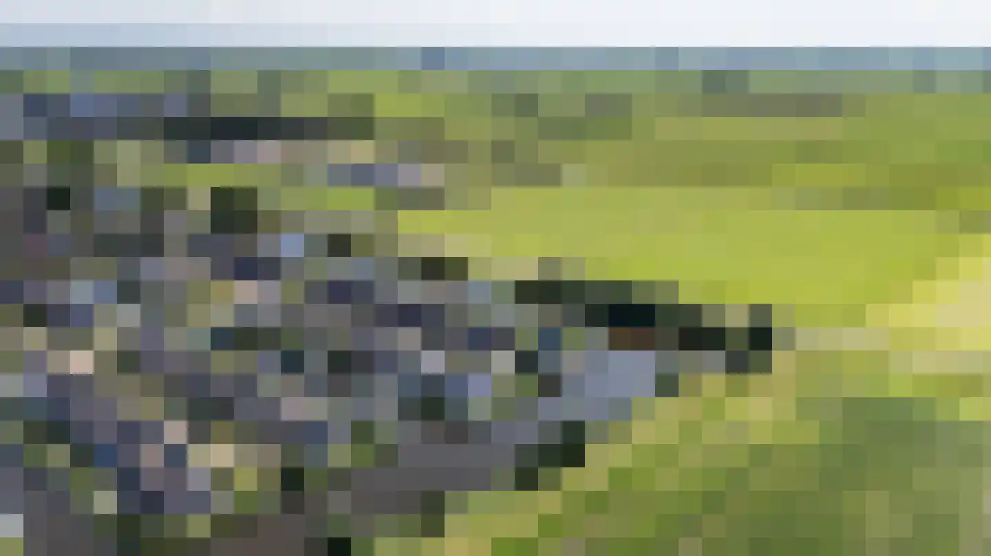 Hans Deinumstrjitte 14 Workum thumbnail 4