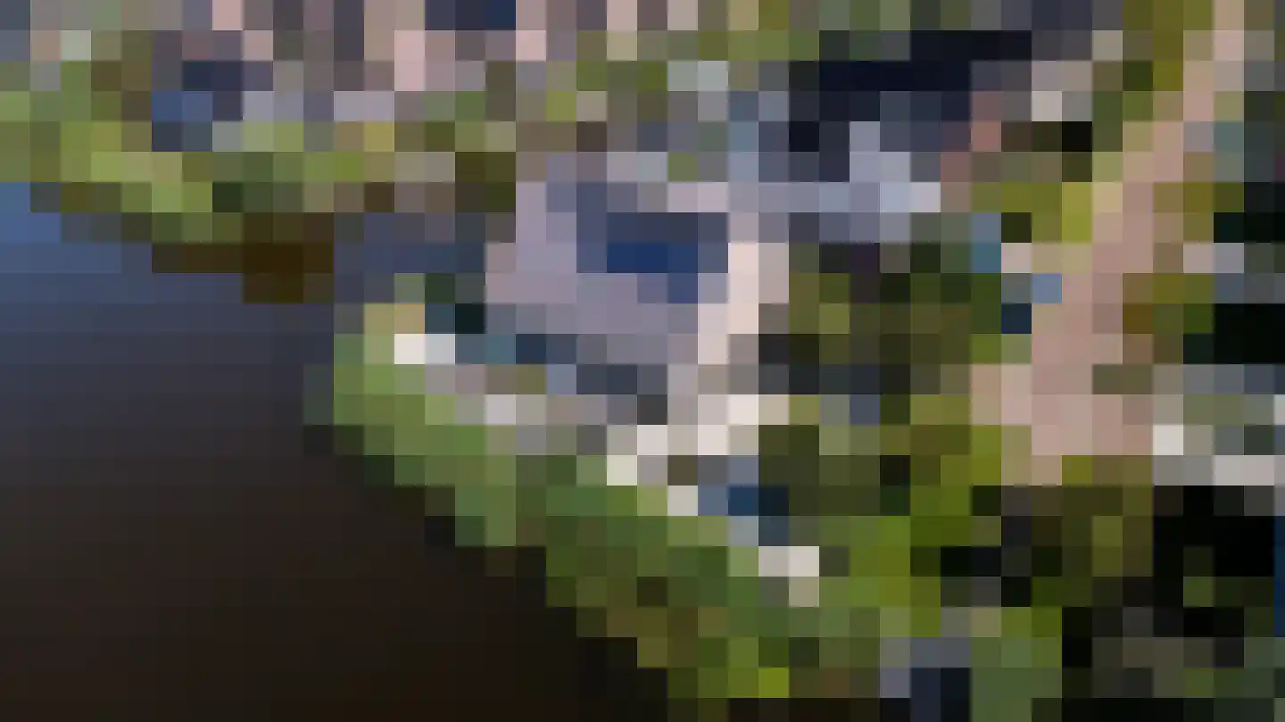 Hans Deinumstrjitte 14 Workum thumbnail 43