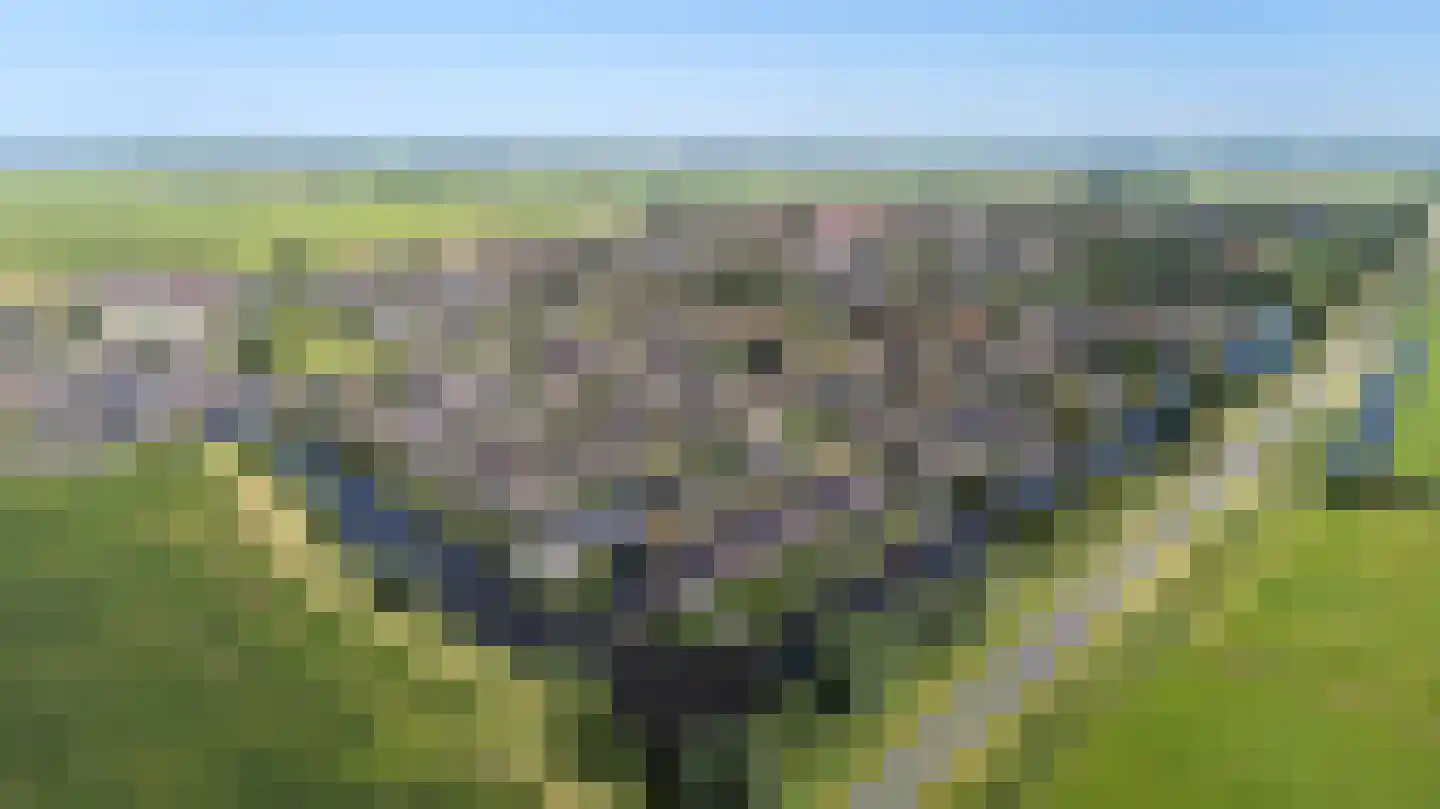 Hans Deinumstrjitte 14 Workum thumbnail 46
