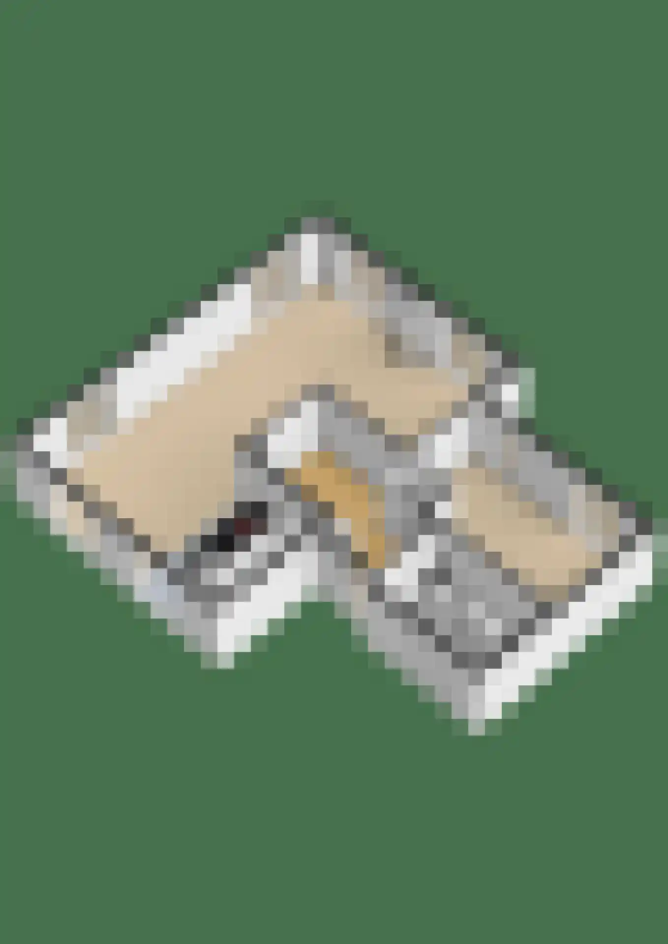 Hans Deinumstrjitte 14 Workum thumbnail 72