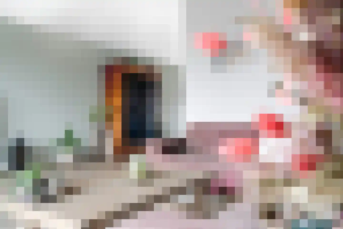 Hans Deinumstrjitte 17 Workum thumbnail 14