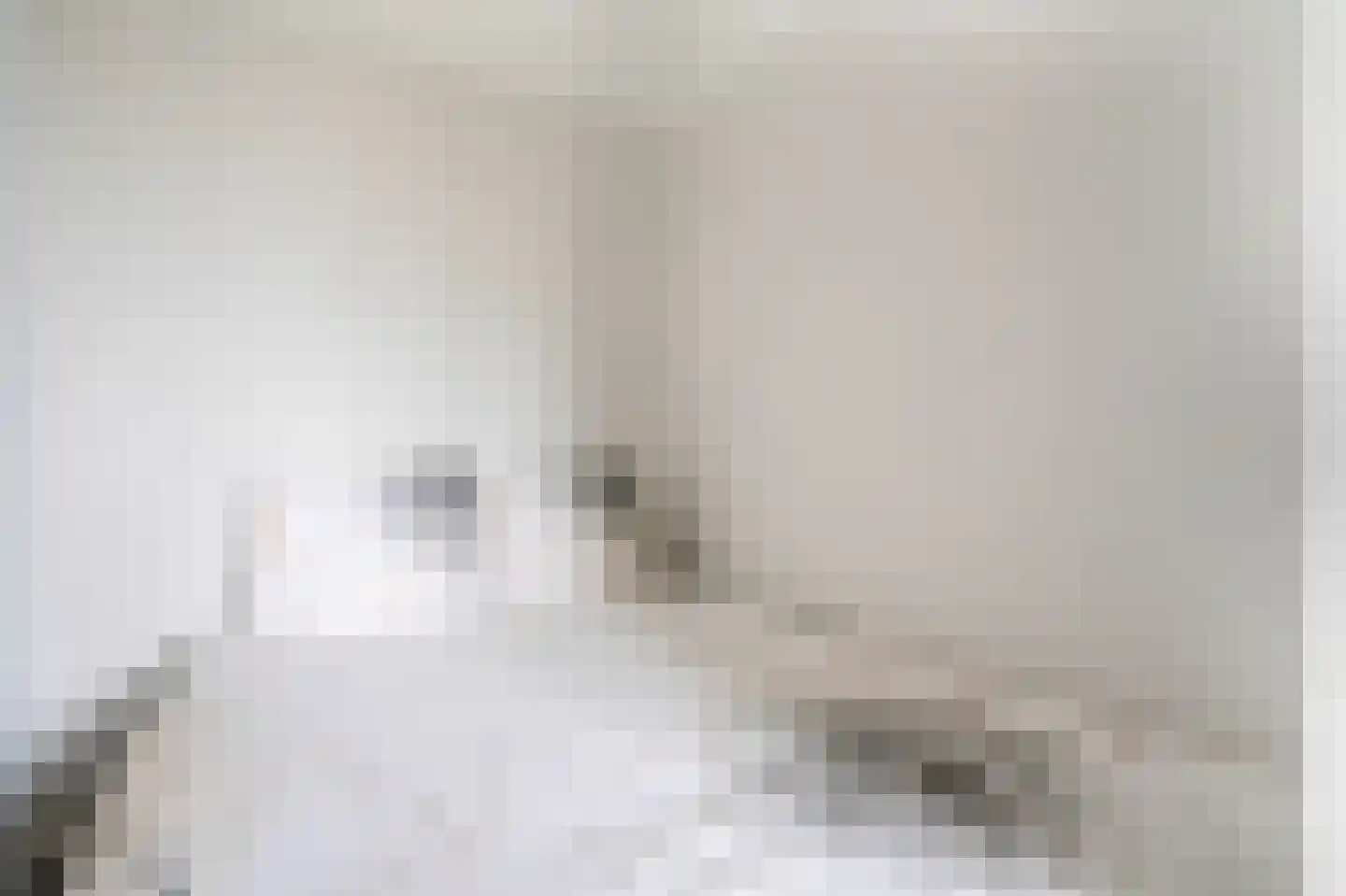 Hans Deinumstrjitte 17 Workum thumbnail 32