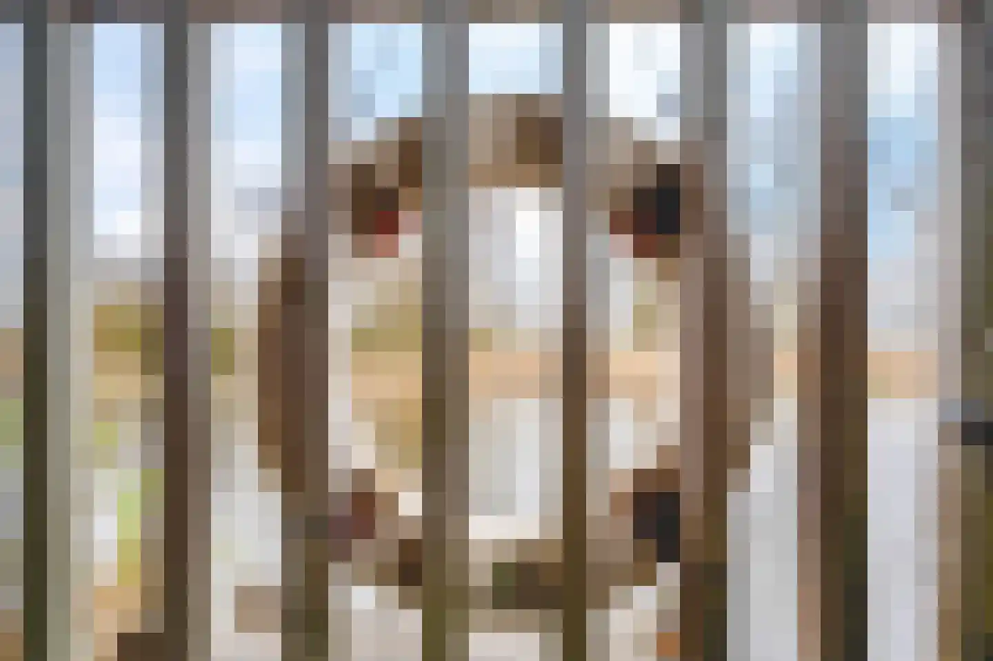 Hans Deinumstrjitte 17 Workum thumbnail 50