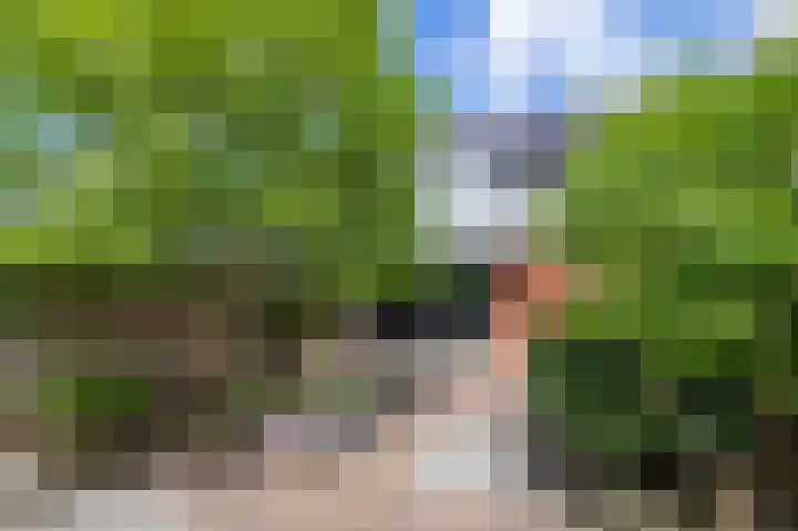 Hans Larivelaan 58 in Den Haag