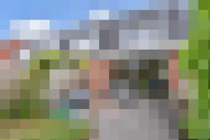 Hans Larivelaan 70 Den Haag thumbnail 30